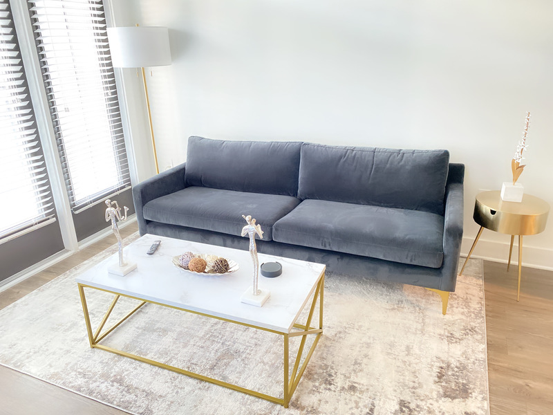 roommates in Sandy Springs Entire Place 1Bed.1Bath - cirtru.com
