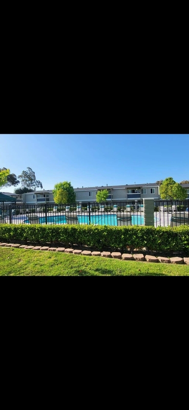 roommates in Ventura Room2Bed.1Bath - cirtru.com