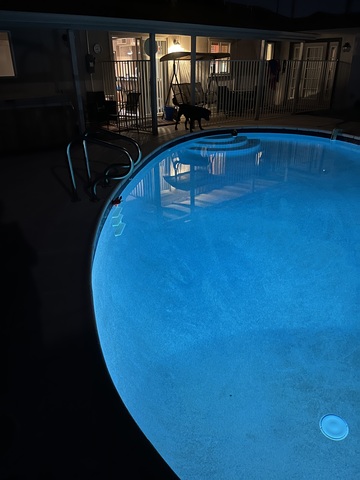 roommates in Phoenix Private Room in 1Bed.1Bath - cirtru.com