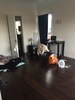 June sublet, Private room.
