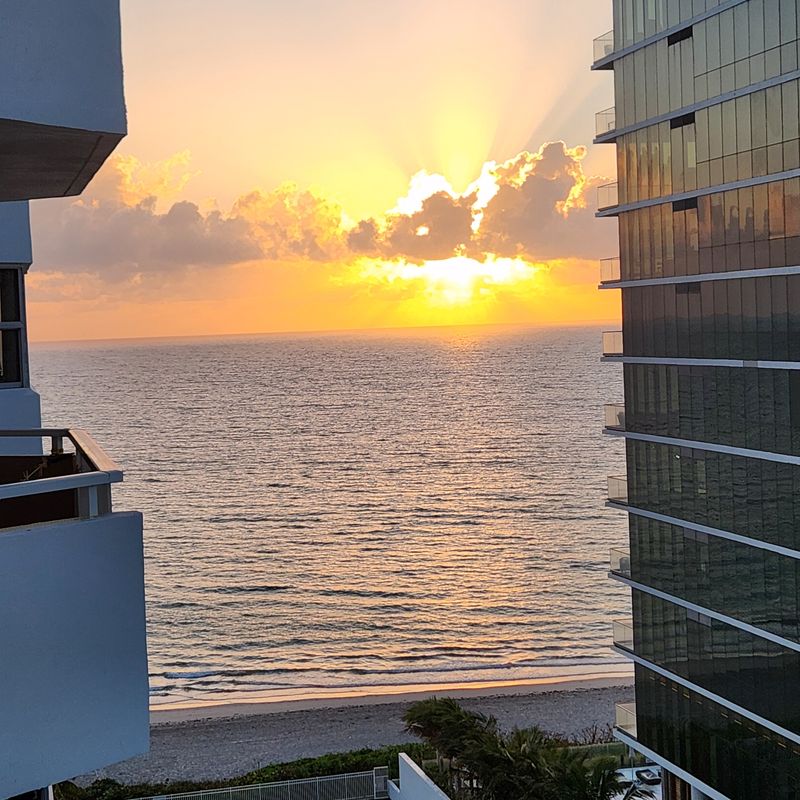 roommates in Hallandale Beach Entire Place 1Bed.1.5Bath - cirtru.com