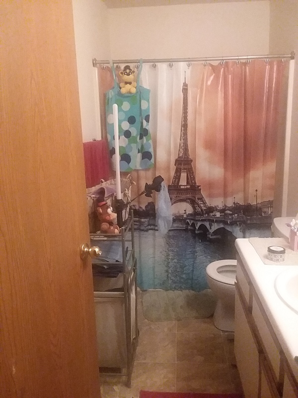 roommates in Springfield Shared Room in 2Bed.1Bath - cirtru.com