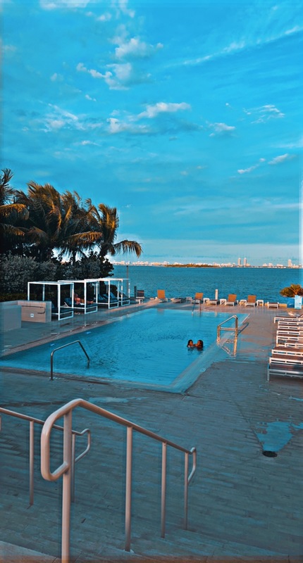roommates in Miami Entire Place 1Bed.1Bath - cirtru.com
