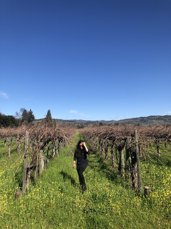 roommates in Napa Private Room in 3Bed.2Bath - cirtru.com