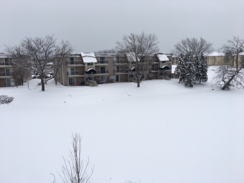roommates in Waukegan Looking for female Room mate in 2BH - cirtru.com