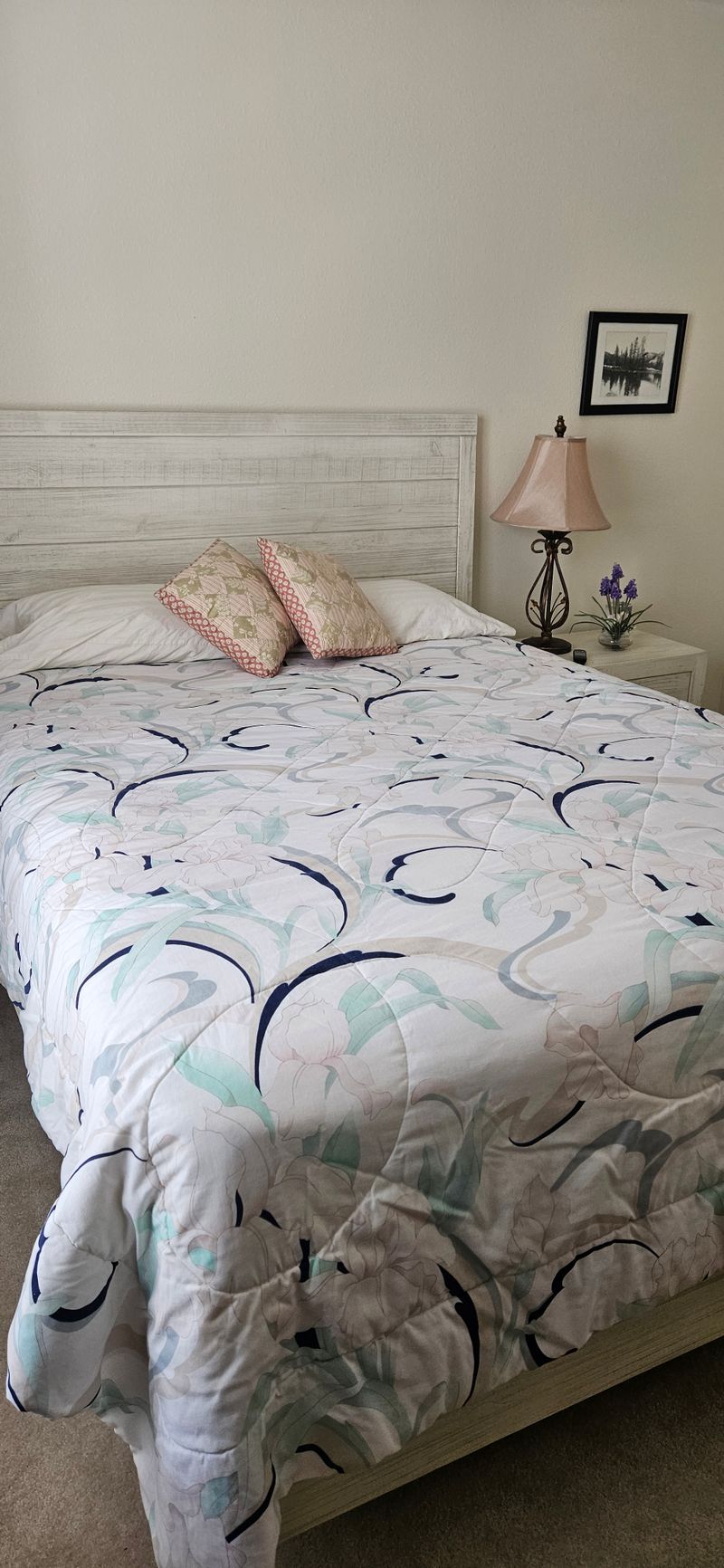 roommates in Tampa Room3Bed.2.5Bath - cirtru.com