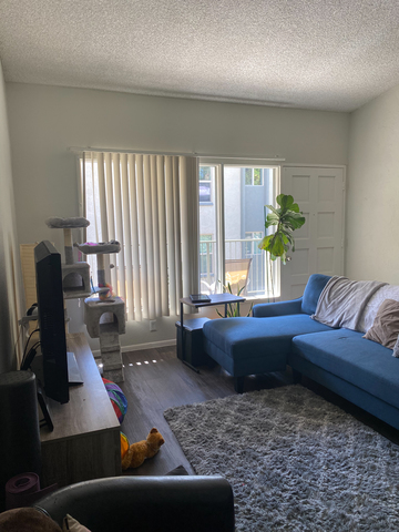 roommates in Phoenix Private Room in 2Bed.2Bath - cirtru.com