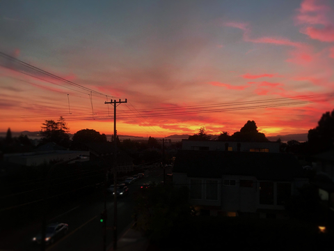roommates in Berkeley Shared Room in 3Bed.2Bath - cirtru.com