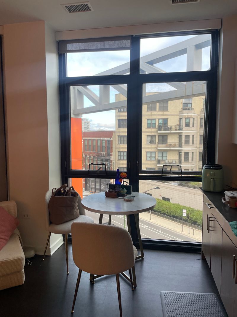 roommates in Chicago Entire Place 1Bed.1Bath - cirtru.com