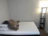 Private Room in 2Bed.1Bath