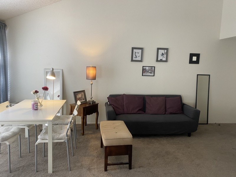 Living room or shared bedroom