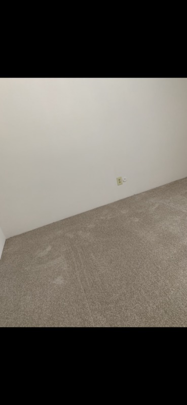 roommates in St. Louis Private Room in 2bed.2bath - cirtru.com