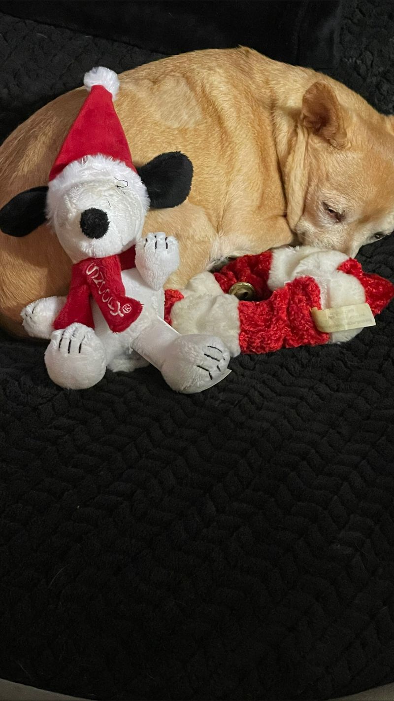 roommates in Escondido Private Room in 3Bed.2Bath - cirtru.com