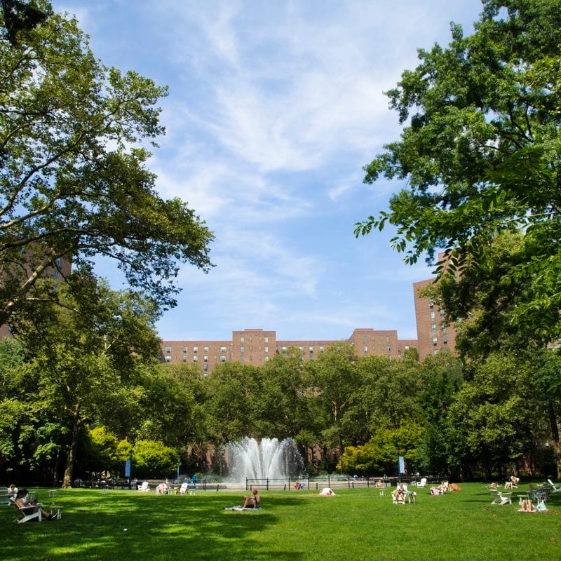 roommates in New York City Private Room in 3Bed.1Bath - cirtru.com