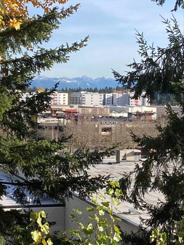 roommates in Lynnwood Private Room in 2Bed.2Bath - cirtru.com