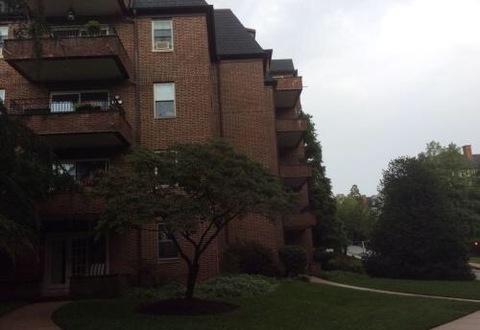 roommates in Baltimore Spacious 1BR is available - cirtru.com