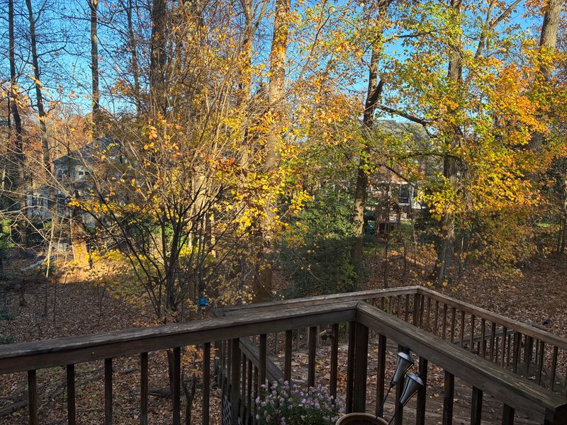 roommates in Fairfax Private Room in 3Bed.2.5Bath - cirtru.com