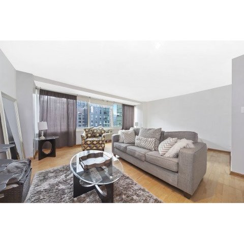 roommates in Chicago Entire Place 1Bed.1Bath - cirtru.com