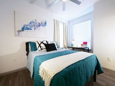 roommates in Arlington Private Room in 4Bed.4Bath - cirtru.com