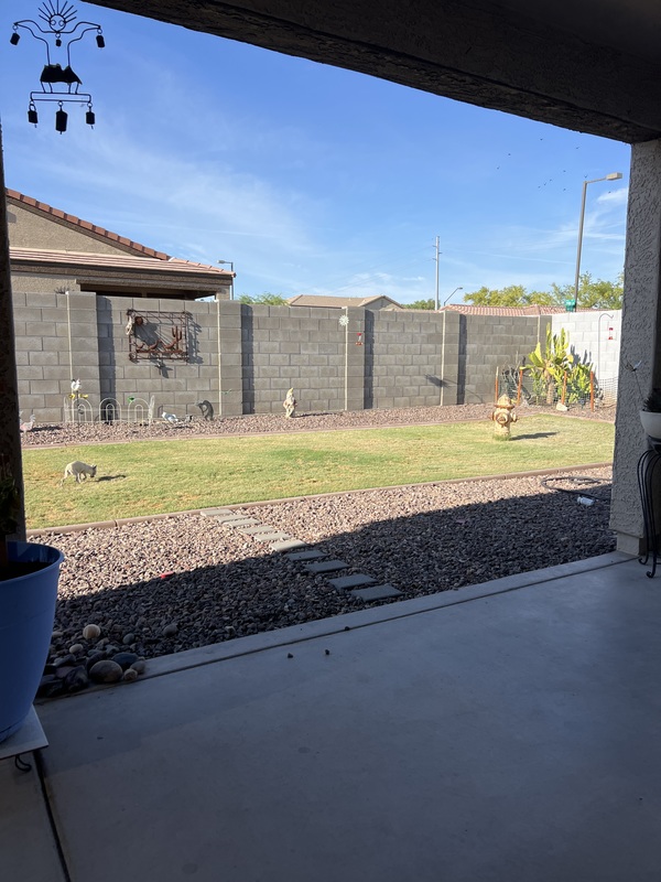 roommates in Buckeye Private Room in 3Bed.2Bath - cirtru.com