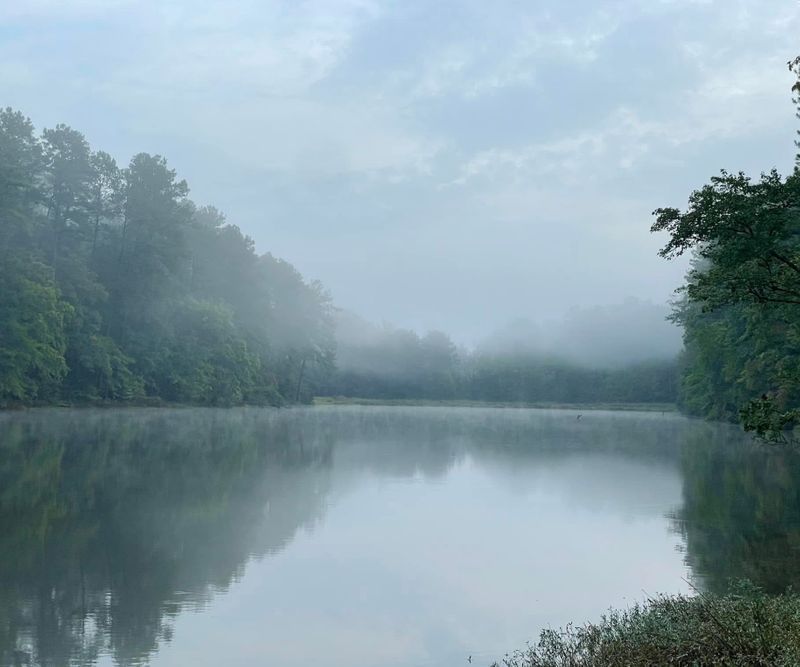 roommates in Vance Entire Place 2Bed.1Bath - cirtru.com