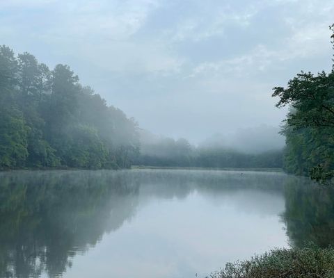 Entire Place 2Bed.1Bath