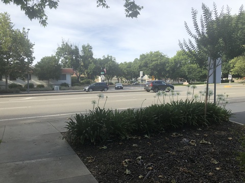 roommates in Pleasanton Private Room in 2bed.1bath - cirtru.com