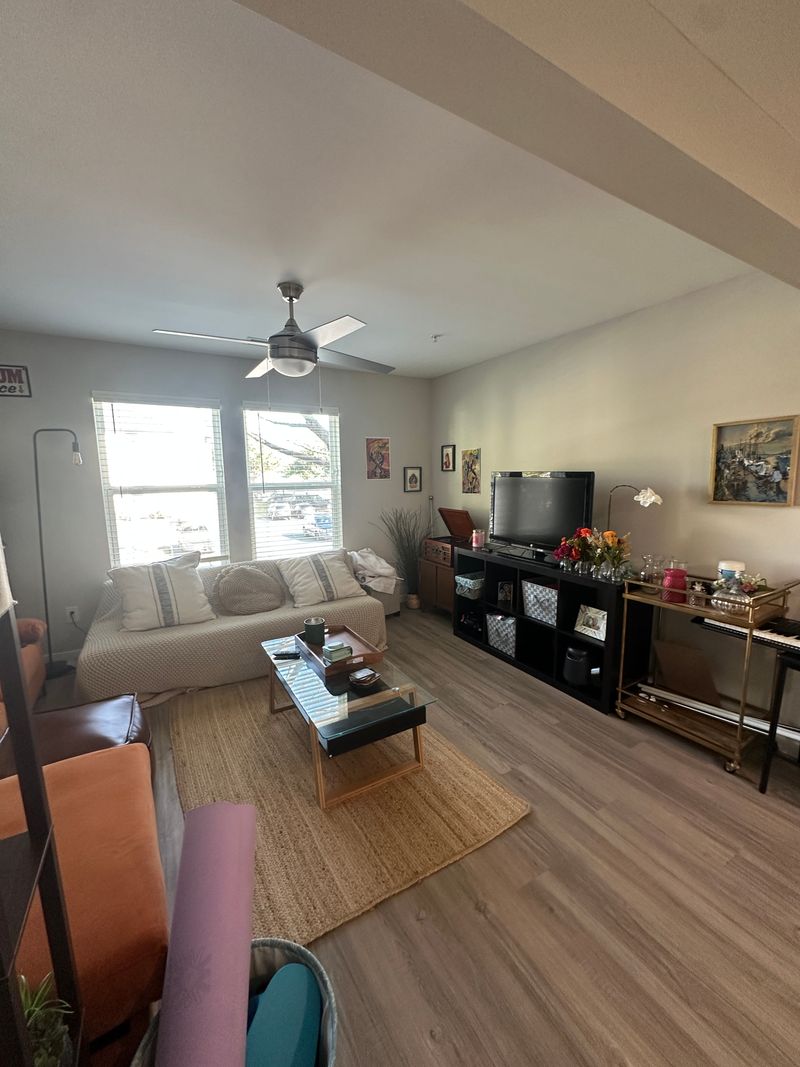 roommates in Austin Entire Place 1Bed.1Bath - cirtru.com
