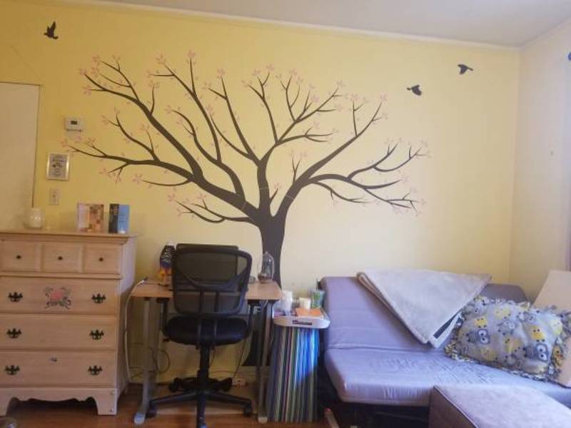 roommates in Queens Private Room in 2Bed.1Bath - cirtru.com