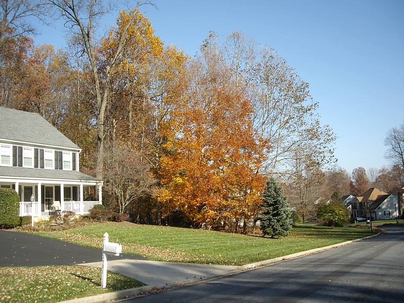 Private Room in 1Bed.1Bath