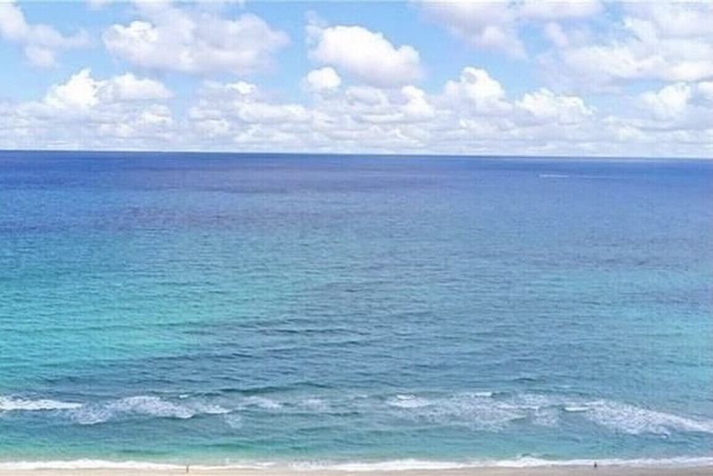 roommates in Pompano Beach Entire Place 1Bed.1Bath - cirtru.com