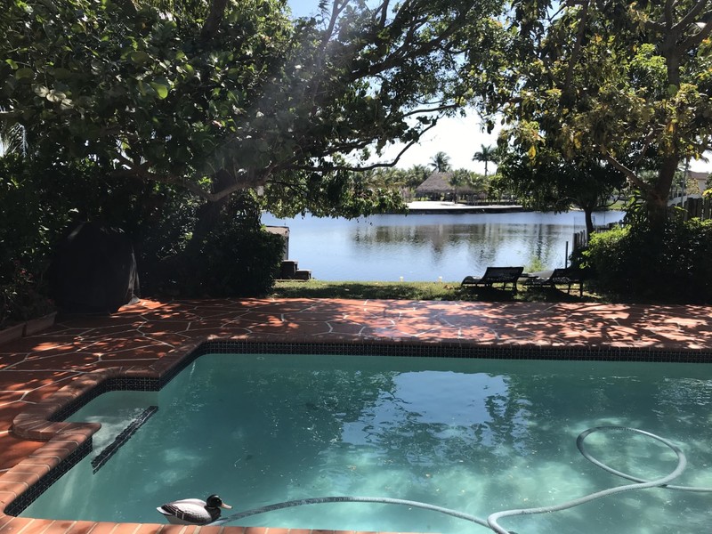 roommates in Miami Private Room in 4Bed.3Bath - cirtru.com