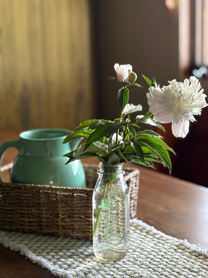 roommates in Cambridge Entire Place 1Bed.1Bath - cirtru.com