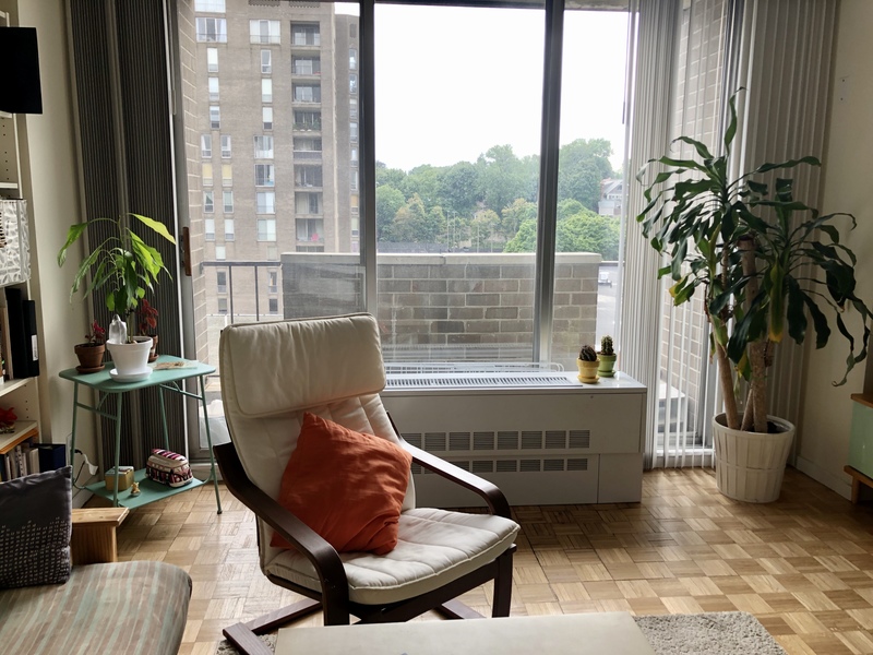 roommates in Brookline Entire Place 1Bed.1Bath - cirtru.com