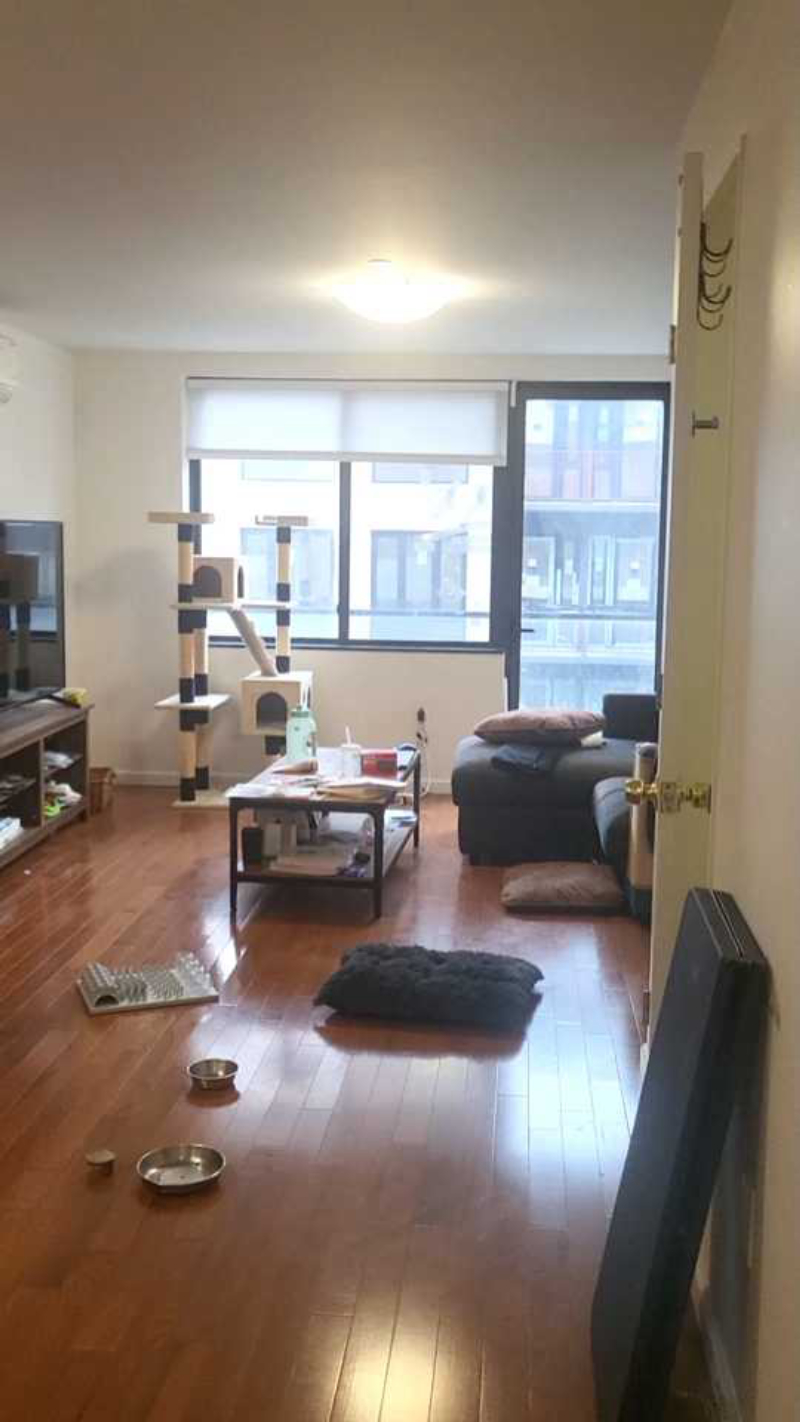 roommates in New York City Private Room in 2Bed.2Bath - cirtru.com
