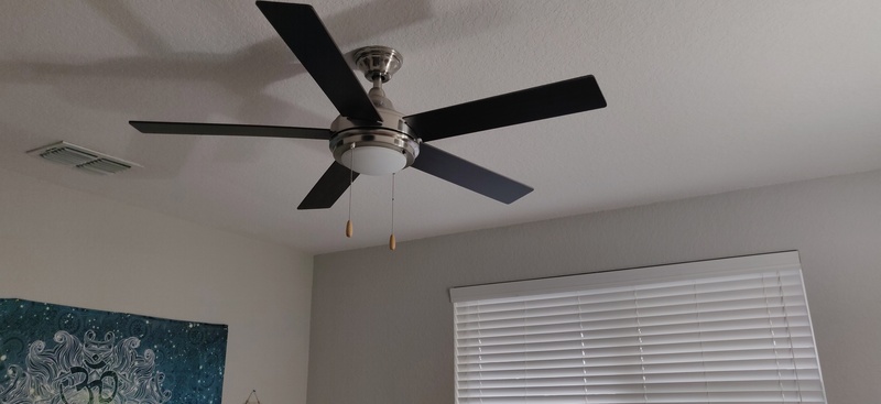 roommates in Temple Terrace Private Room in 2Bed.2Bath - cirtru.com