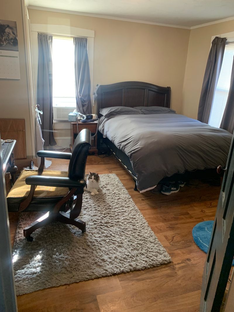 roommates in Attleboro Private Room in 2Bed.1Bath - cirtru.com