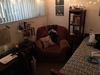 Room in North Berkeley