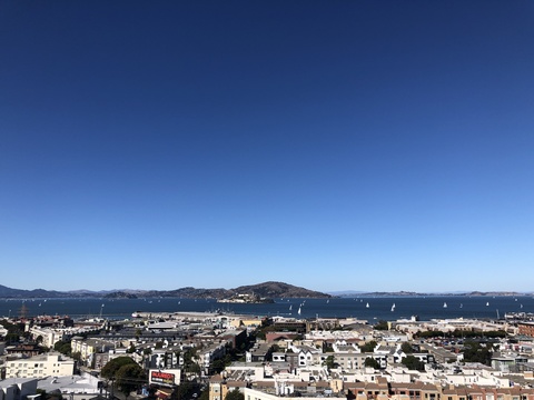 roommates in San Francisco Shared Room in 2Bed.1Bath - cirtru.com
