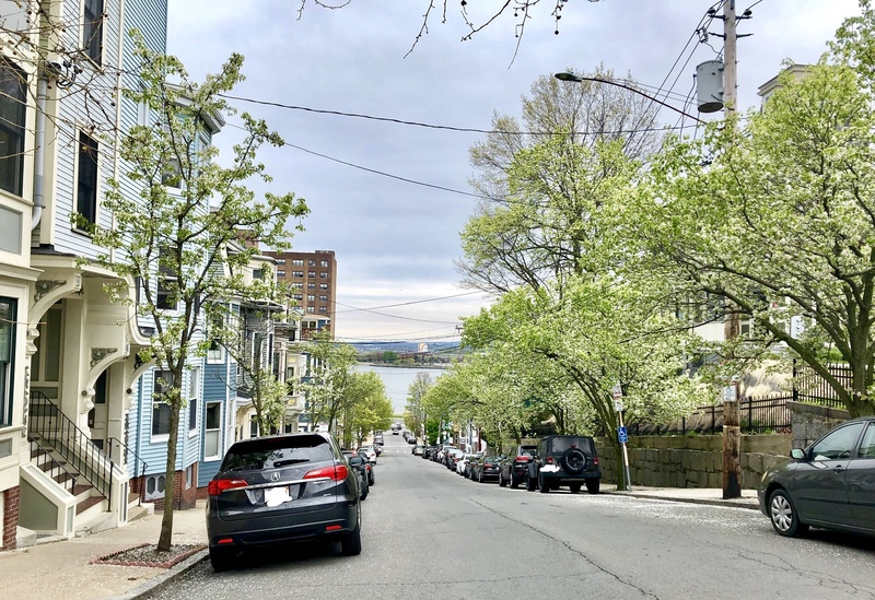 roommates in Boston Private Room in 2Bed.1Bath - cirtru.com