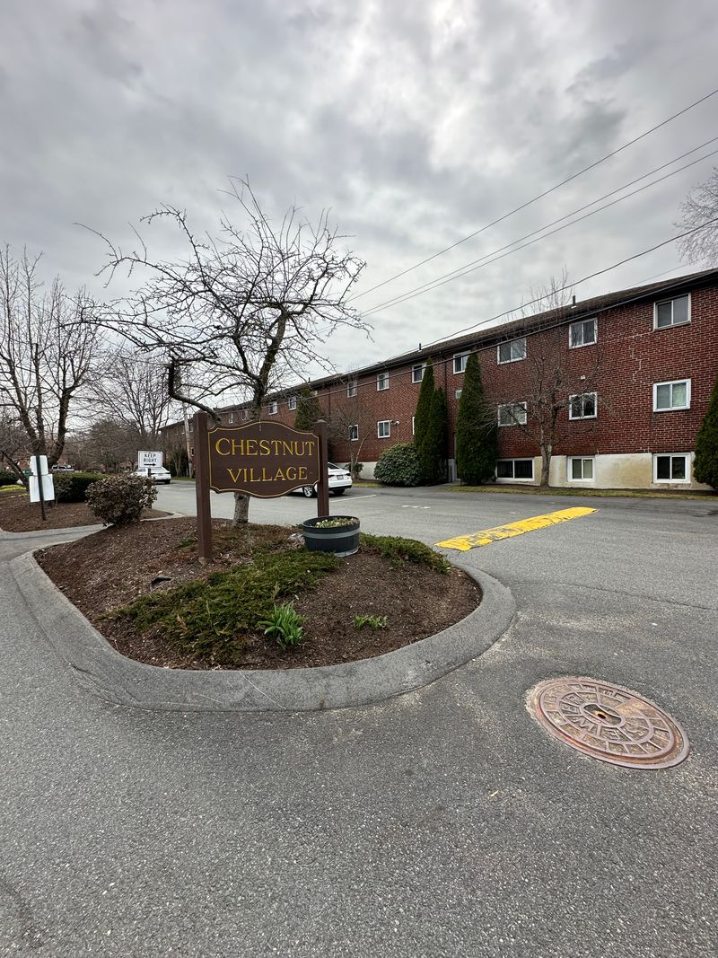 roommates in Chestnut Hill Entire Place 2Bed.1Bath - cirtru.com