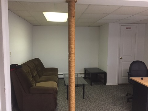 Need a female roommate