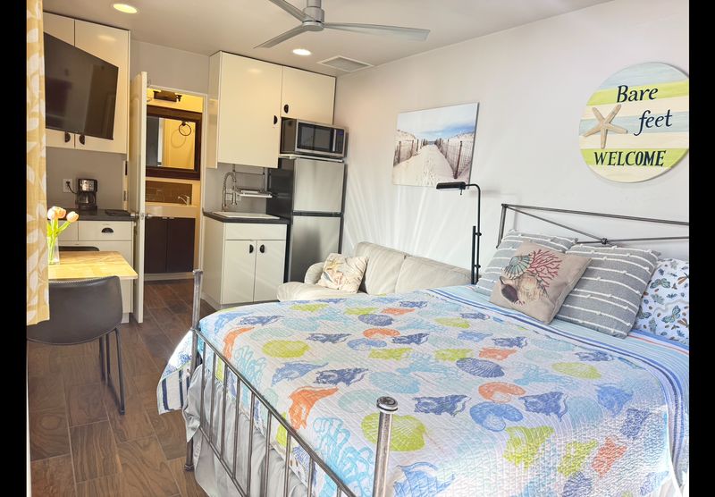 roommates in Solana Beach Entire Place 1Bed.1Bath - cirtru.com