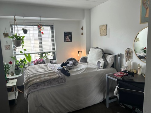 roommates in Philadelphia Private Room in 4Bed.2Bath - cirtru.com