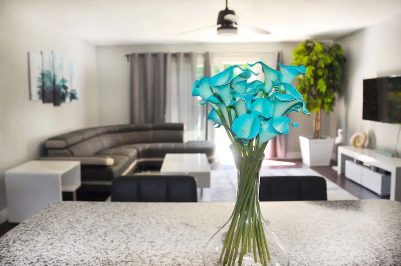 roommates in Clearwater Entire Place 3Bed.2Bath - cirtru.com