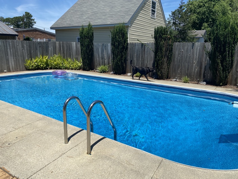 roommates in Suffolk Private Room in 3Bed.1.5Bath - cirtru.com