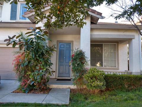 roommates in San Jose Private Room in 3Bed.2Bath - cirtru.com