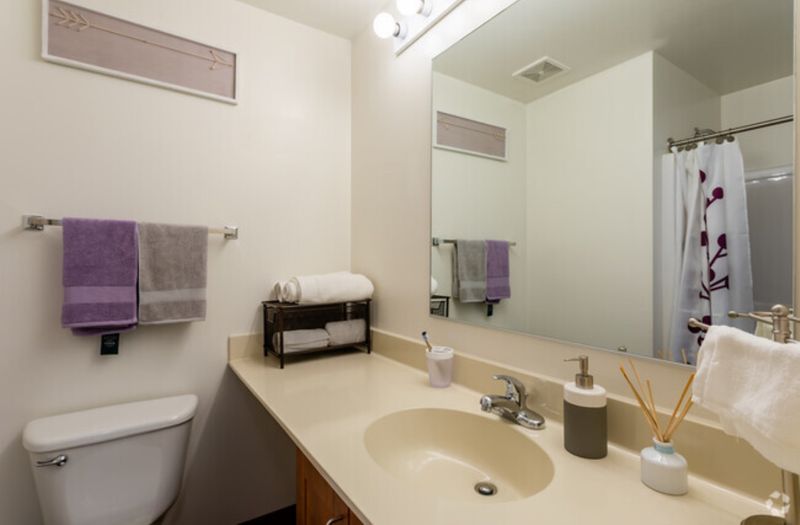 roommates in Hyattsville Shared Room in 2Bed.2Bath - cirtru.com