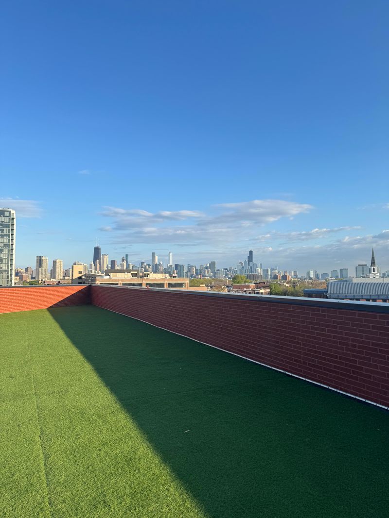 roommates in Chicago Entire Place 3Bed.2Bath - cirtru.com