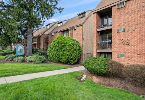 roommates in West Hartford Entire Place 1Bed.1Bath - cirtru.com